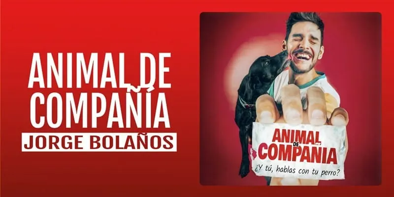 Animal de compañía, de Jorge Bolaños