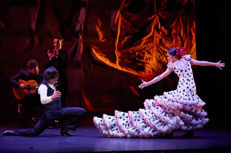 Ballet Flamenco de Andalucía: Flamenco Patrimonio